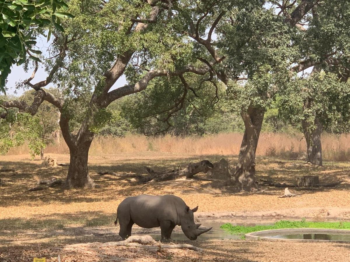 Pombo Kunda Villa Sanyang Luaran gambar