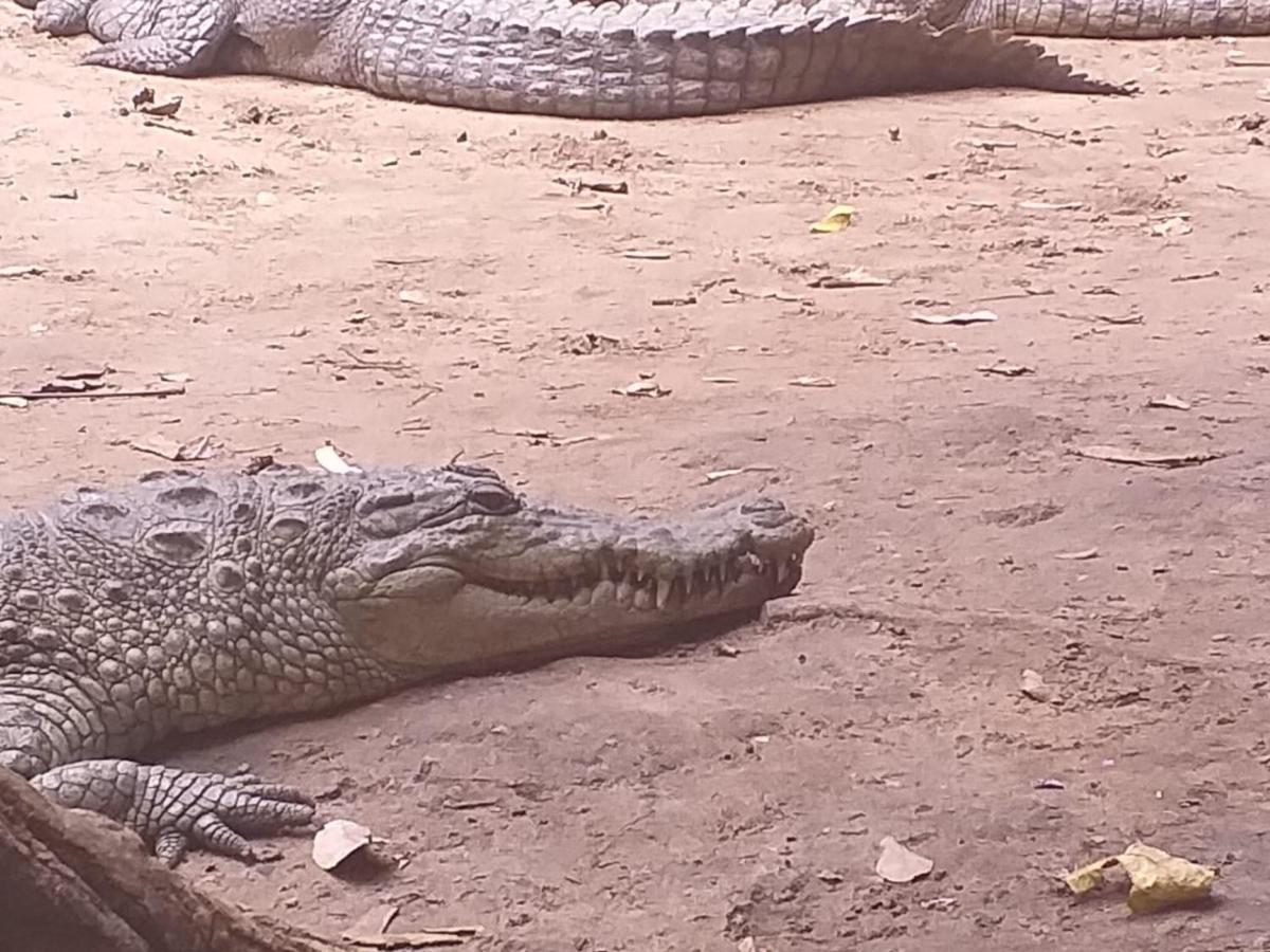 Pombo Kunda Villa Sanyang Luaran gambar