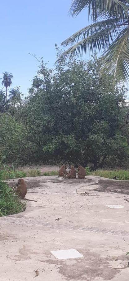 Pombo Kunda Villa Sanyang Luaran gambar