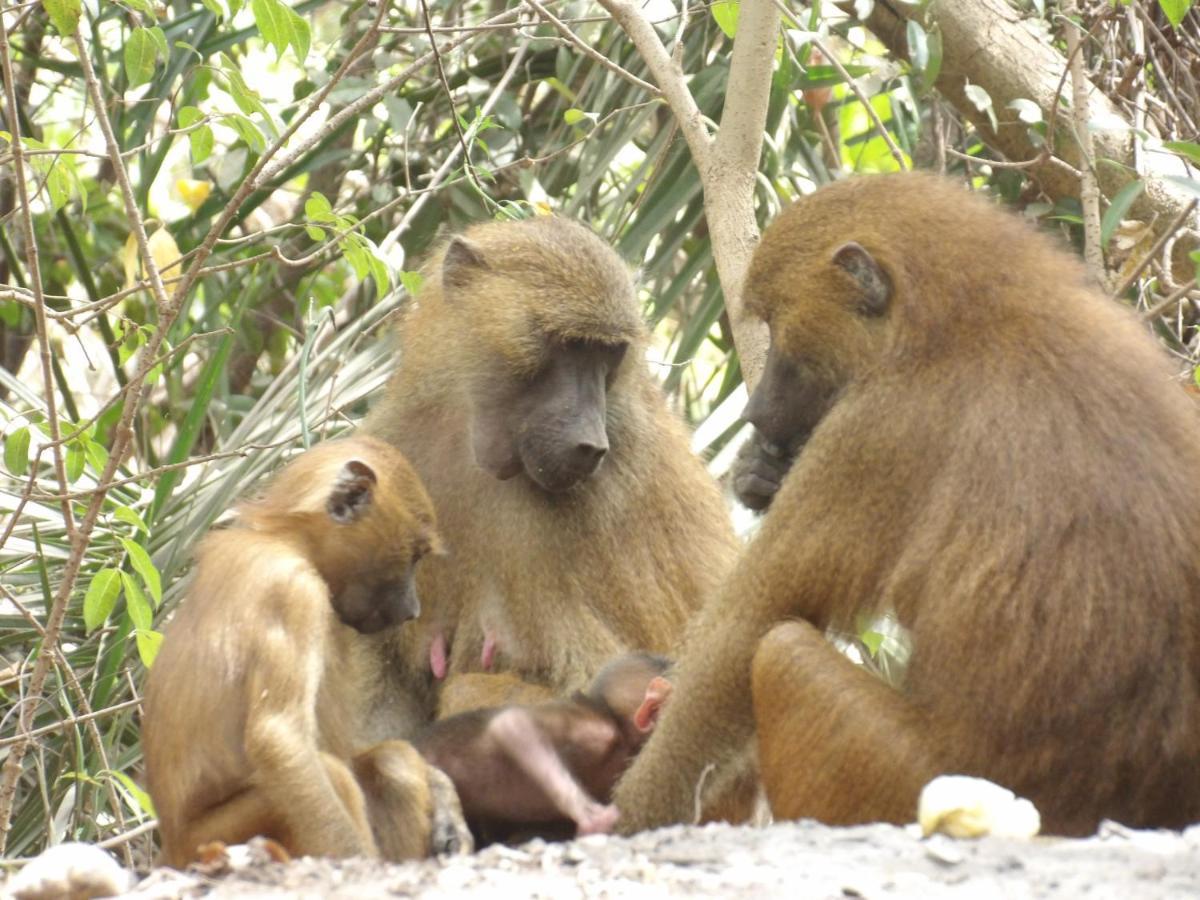 Pombo Kunda Villa Sanyang Luaran gambar