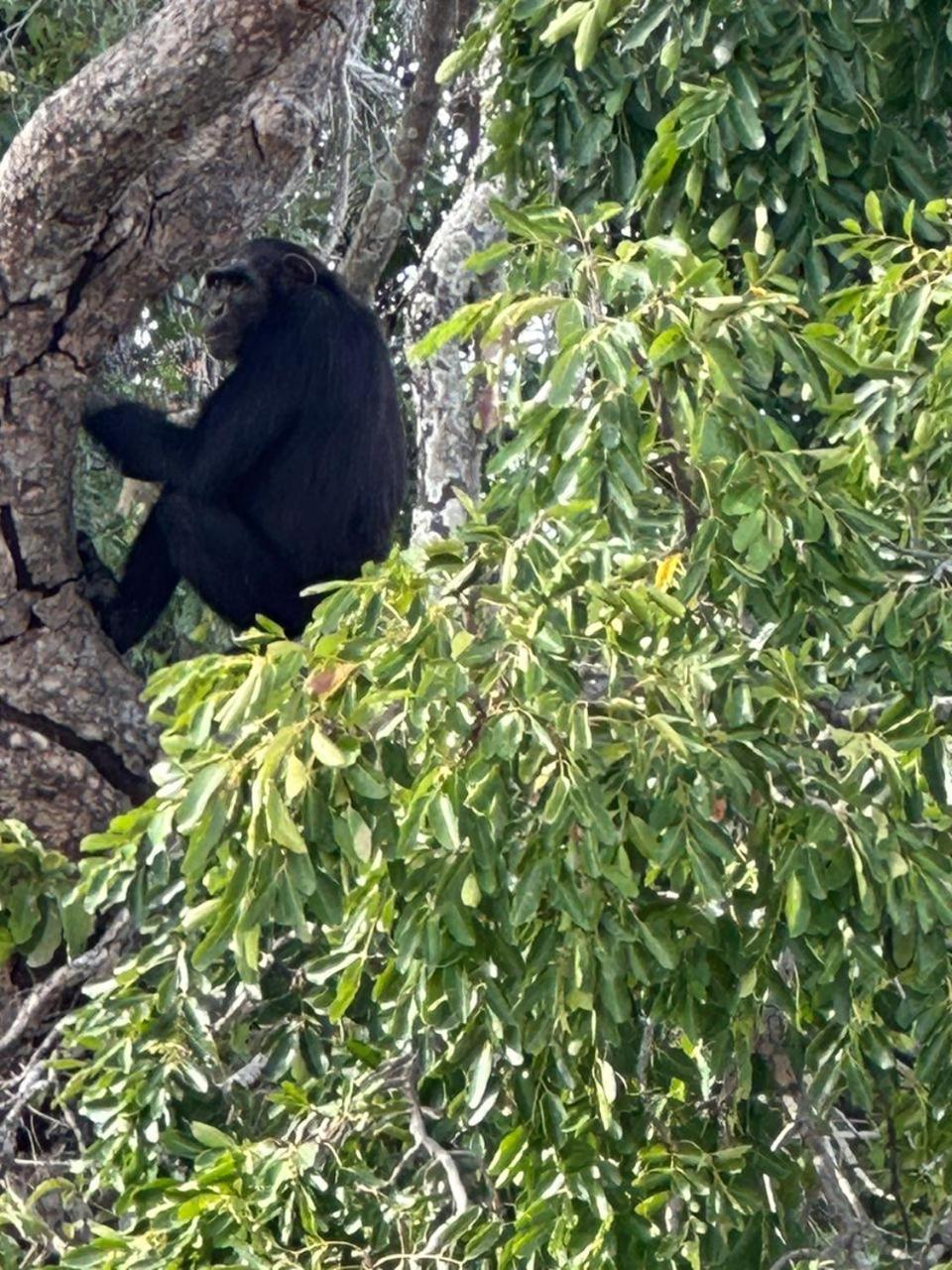 Pombo Kunda Villa Sanyang Luaran gambar